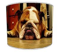 British Bulldog Dog Puppy Lampshade For A Ceiling Light In 3 Sizes - Free Personalisation