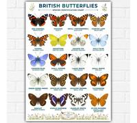 British Butterflies Poster A3 - Lepidopterology Species Identification Chart - Educational Wildlife Wall Art Print