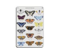 British Butterflies Print(1) Retro Poster Metal Tin Sign Chic Art Retro Iron Painting Bar People Cave Cafe Family Garage Poster Wall Decoration 8x12inch(20x30cm)
