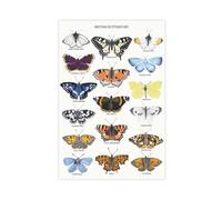 British Butterflies Print Canvas Poster Bedroom Decor Landscape Office Room Decor Gift 12" L X 18" W