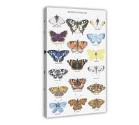 British Butterflies Print Canvas Poster Wall Art Decor Print Picture Paintings for Living Room Bedroom Decoration 24x36inch(60x90cm)