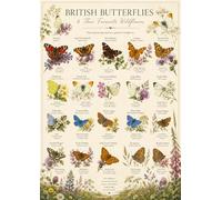 British Butterflies & Wildflowers Poster Print A3 Nature Garden Identification Wall Art