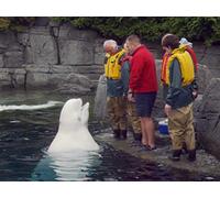 British Columbia: Vancouver and Beyond