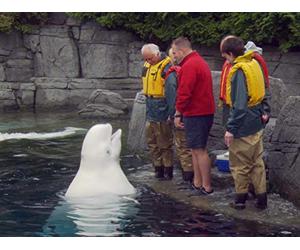 British Columbia: Vancouver and Beyond