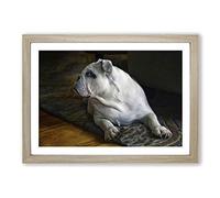 British English Bulldog Dog Framed Print | A2 Oak Framed Wall Art | Ready to Hang | Modern Flag Picture | Living Room Bedroom Lounge Office