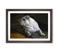 British English Bulldog Dog Framed Print | A2 Walnut Framed Wall Art | Ready to Hang | Modern Flag Picture | Living Room Bedroom Lounge Office