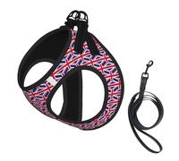 British Flag Print Step in Dog Harness and Leash Set,Adjustable Reflective Harness for Small Dogs Cats