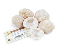 Fossil Gift Shop Break Your Own Geodes - Ideal for Party Bags (Pack of 5)
