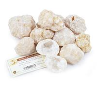 British Fossils Break Your Own Geodes - Pack of 10