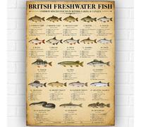 British Freshwater Fish Poster A3 - Fish Identification Guide Chart - Angling & Fishing Wall Art