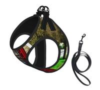 British Phone Booth Print Step in Dog Harness and Leash Set,Adjustable Reflective Harness for Small Dogs Cats