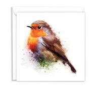 British Robin Wild Birds Watercolour Splash Effect Artistic Blank Greeting Card