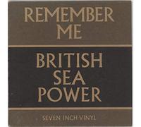 British Sea Power - Remember Me [7" VINYL]