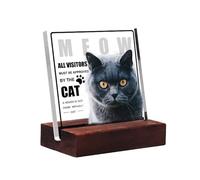 British Short hair Cat All Visitors Must Be Approved Clear Acrylic Desk Decorative Sign With Stand Cats Sign For Home Office Bedroom Decor Pet Cat Lovers Gift Cats Signs Funny Housewarming Gifts