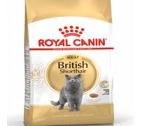 Royal Canin British Shorthair Adult - 10kg