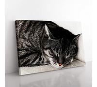 British Shorthair Cat 2 Modern Canvas Wall Art Print Ready to Hang, Framed Picture for Living Room Bedroom Home Office Décor, 76x50 cm (30x20 Inch)