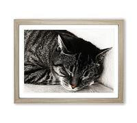 British Shorthair Cat 2 Modern Framed Wall Art Print, Ready to Hang Picture for Living Room Bedroom Home Office Décor, Oak A4 (34 x 25 cm)