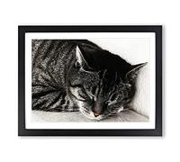 British Shorthair Cat 2 Modern Framed Wall Art Print, Ready to Hang Picture for Living Room Bedroom Home Office Décor, Black A4 (34 x 25 cm)