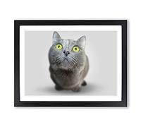 British Shorthair Cat 3 Modern Framed Print | A2 Black Framed Wall Art | Ready to Hang | Modern Flag Picture | Living Room Bedroom Lounge Office