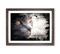 British Shorthair Cat 5 Modern CB Framed Print | A3 Walnut Framed Wall Art | Ready to Hang | Modern Flag Picture | Living Room Bedroom Lounge Office