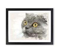 British Shorthair Cat Modern FC Framed Print | A3 Black Framed Wall Art | Ready to Hang | Modern Flag Picture | Living Room Bedroom Lounge Office
