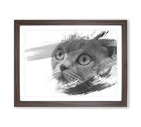 British Shorthair Cat V1 Modern Framed Print | A4 Walnut Framed Wall Art | Ready to Hang | Modern Flag Picture | Living Room Bedroom Lounge Office
