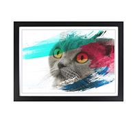British Shorthair Cat V2 Framed Print | A2 Black Framed Wall Art | Ready to Hang | Modern Flag Picture | Living Room Bedroom Lounge Office