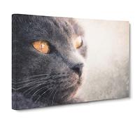 British Shorthair Cat Vol.2 Canvas Print for Living Room Bedroom Home Office Décor, Wall Art Picture Ready to Hang, 30 x 20 Inch (76 x 50 cm)
