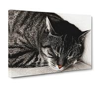 British Shorthair Cat Vol.2 Canvas Print | Gallery Wrapped 30mm Frame Wall Art | 20x14 inches | Ready to Hang | Modern Animals Picture | Living Room Bedroom Lounge Office