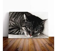 British Shorthair Cat Vol.2 Canvas Print | Gallery Wrapped 30mm Frame Wall Art | 24x16 inches | Ready to Hang | Modern Animals Picture | Living Room Bedroom Lounge Office