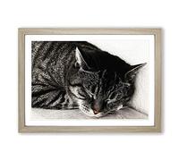British Shorthair Cat Vol.2 Framed Print | A2 Oak Framed Wall Art | Ready to Hang | Modern Flag Picture | Living Room Bedroom Lounge Office