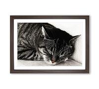 British Shorthair Cat Vol.2 Framed Print | A2 Walnut Framed Wall Art | Ready to Hang | Modern Flag Picture | Living Room Bedroom Lounge Office