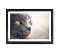 British Shorthair Cat Vol.2 Painting Framed Print | A2 Black Framed Wall Art | Ready to Hang | Modern Flag Picture | Living Room Bedroom Lounge Office