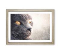 British Shorthair Cat Vol.2 Painting Framed Print | A2 Oak Framed Wall Art | Ready to Hang | Modern Flag Picture | Living Room Bedroom Lounge Office