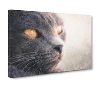 British Shorthair Cat Vol.2 Painting Modern Art Canvas Wall Art Print Ready to Hang, Framed Picture for Living Room Bedroom Home Office Décor, 24x16 Inch (60x40 cm)