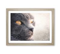British Shorthair Cat Vol.2 Painting Modern Art Framed Print | A2 Oak Framed Wall Art | Ready to Hang | Modern Flag Picture | Living Room Bedroom Lounge Office