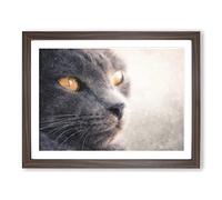 British Shorthair Cat Vol.2 Painting Modern Art Framed Print | A2 Walnut Framed Wall Art | Ready to Hang | Modern Flag Picture | Living Room Bedroom Lounge Office