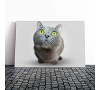 British Shorthair Cat Vol.3 Canvas Print | Gallery Wrapped 30mm Frame Wall Art | 30x20 inches | Ready to Hang | Modern Animals Picture | Living Room Bedroom Lounge Office