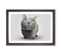 British Shorthair Cat Vol.3 Framed Print | A2 Walnut Framed Wall Art | Ready to Hang | Modern Flag Picture | Living Room Bedroom Lounge Office