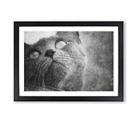 British Shorthair Cat Vol.3 Painting Framed Print | A2 Black Framed Wall Art | Ready to Hang | Modern Flag Picture | Living Room Bedroom Lounge Office