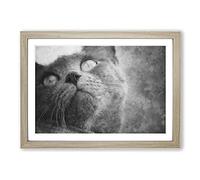 British Shorthair Cat Vol.3 Painting Framed Print | A2 Oak Framed Wall Art | Ready to Hang | Modern Flag Picture | Living Room Bedroom Lounge Office