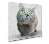 British Shorthair Cat Vol.4 Canvas Print | Gallery Wrapped 30mm Frame Wall Art | 20x20 inches | Ready to Hang | Modern Animals Picture | Living Room Bedroom Lounge Office