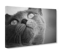 British Shorthair Cat Vol.4 Canvas Print | Gallery Wrapped 30mm Frame Wall Art | 24x16 inches | Ready to Hang | Modern Animals Picture | Living Room Bedroom Lounge Office