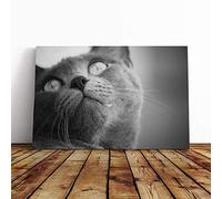 British Shorthair Cat Vol.4 Canvas Print | Gallery Wrapped 30mm Frame Wall Art | 30x20 inches | Ready to Hang | Modern Animals Picture | Living Room Bedroom Lounge Office