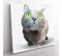 British Shorthair Cat Vol.4 Painting Modern Canvas Wall Art Print Ready to Hang, Framed Picture for Living Room Bedroom Home Office Décor, 50x50 cm (20x20 Inch)