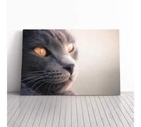 British Shorthair Cat Vol.5 Canvas Print | Gallery Wrapped 30mm Frame Wall Art | 20x14 inches | Ready to Hang | Modern Animals Picture | Living Room Bedroom Lounge Office