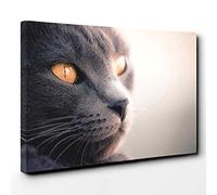 British Shorthair Cat Vol.5 Canvas Print | Gallery Wrapped 30mm Frame Wall Art | 30x20 inches | Ready to Hang | Modern Animals Picture | Living Room Bedroom Lounge Office