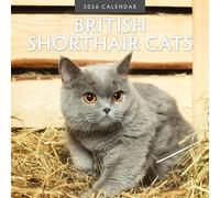 British Shorthair Cats - 2026 Square Wall Calendar - by Red Robin Publishing