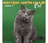 British Shorthair Cats Calendar 2026: A Year of Grace, Soft Fur, and Gentle Eyes