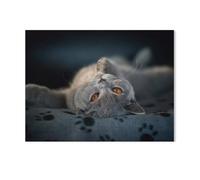 British Shorthair，Jigsaw Puzzles for Adults 1000 Piece, Classic Puzzle Teens Boys Girls Puzzles Sturdy Tight Fitting Pieces,Letters On Back for Ideal Challenging And Gift（50x70cm）-AE75